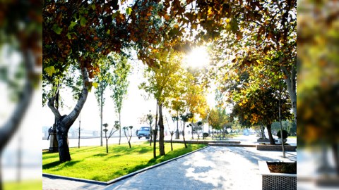 Bu günə gözlənilən hava proqnozu