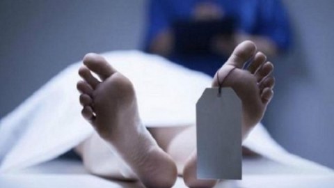 Bu il 37 mindən çox ölüm qeydə alınıb