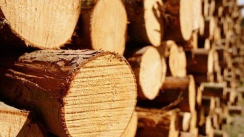 Qanunsuz yolla əldə edilən meşə materialı aşkarlandı