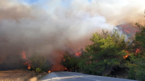 Muğlada yenidən meşələr yanır