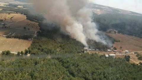 İzmir meşələrində güclü YANĞIN
