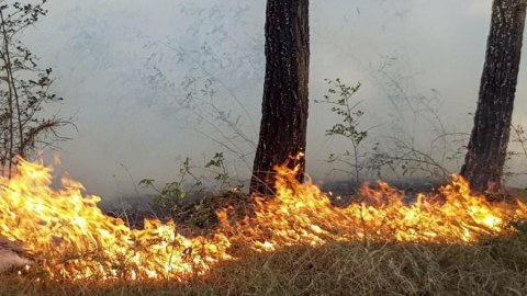 Ağsudakı yanğın söndürüldü  