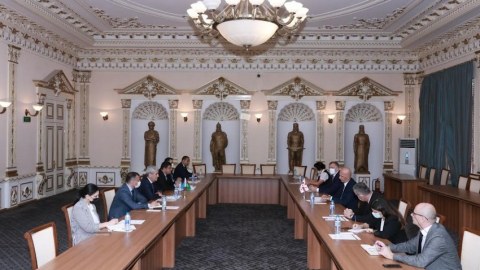 Gürcüstan səfiri Diaspor Komitəsində olub