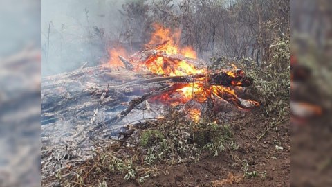 İsmayıllıda yanğın başladı, helikopter qaldırıldı