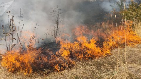 İsmayıllıdakı yanğın söndürüldü