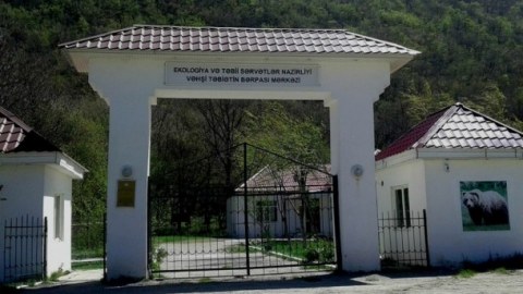 Altıağac Milli Parkında “açıq qapı” günü keçirilir - FOTOLAR