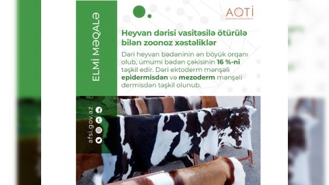 Heyvan dərisi vasitəsilə ötürülə bilən zoonoz xəstəliklər