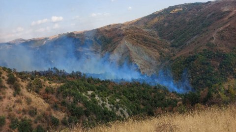 FHN İsmayıllıdakı yanğınla bağlı məlumat yaydı - YENİLƏNİB