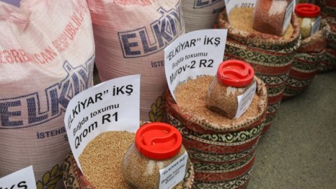 Ağcabədidə toxum sərgi-satış yarmarkası keçirilib - FOTOLAR