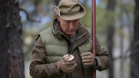 Putin tayqa meşələrində istirahət edir