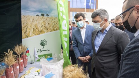 Saatlıda toxum sərgi-satış yarmarkası keçirilib  