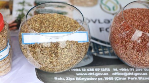 Cəlilabadda toxum sərgi-satış yarmarkası keçirilib - FOTO