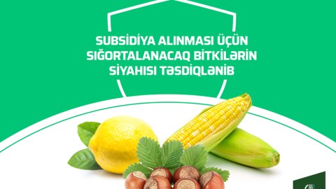 Subsidiya alınması üçün sığortalanacaq bitkilərin siyahısı təsdiqləndi