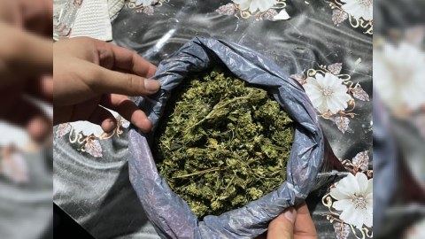 Salyan sakinləri “patı” və marixuana ilə tutuldu
