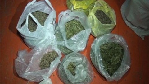 3 tona yaxın narkotik dövriyyədən çıxarılıb