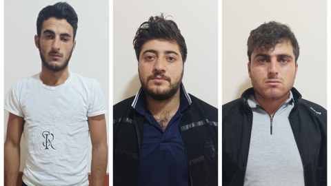 Şamaxıda 112 baş qoyunu oğurlayanlar saxlanıldı - FOTO