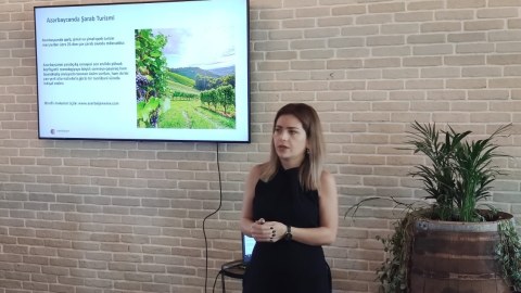 Tuğda şərab zavodu bərpa olunacaq - Yeni mərkəzlər yaradılır