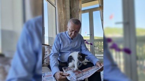 Ərdoğandan “Pıt Pıt Şəkər” paylaşımı - Foto
