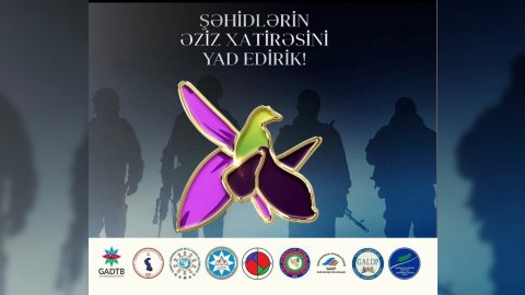 “Azərbaycanın yanındayıq”- Güneyli təşkilatlar bəyanat yaydı 