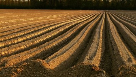 Torpaqdan qanunsuz istifadə ilə bağlı qərarın icrasına başlanıldı