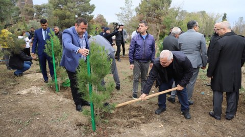Birbank istifadəçiləri Gəncədə ağac əkdi