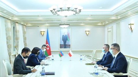 Sahibə Qafarova Polşa səfirini qəbul edib