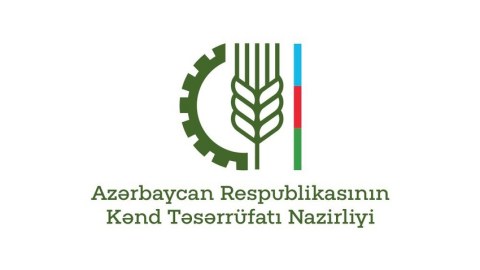Nazirliyə əlavə funksiyalar VERİLDİ