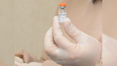 Ölkəmizə gətirilən bütün peyvəndlər Türkiyədə laboratoriyadan keçir