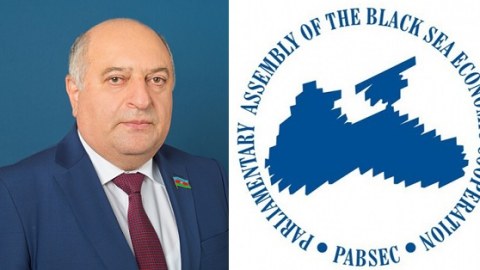 Azərbaycanlı deputata beynəlxalq təşkilatda vəzifə verildi