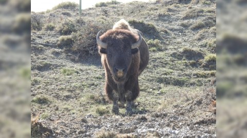 Şamaxı Safari Parkından FOTOREPORTAJ