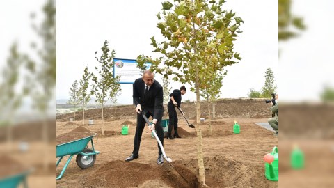 İlham Əliyev və Mehriban Əliyeva Mərkəzi Şəhər Parkında ağac əkdilər - FOTO