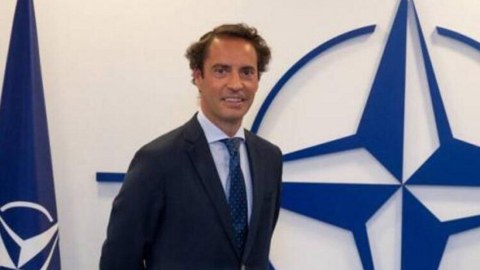 NATO rəsmisi Gürcüstanın vasitəçilik rolundan danışdı