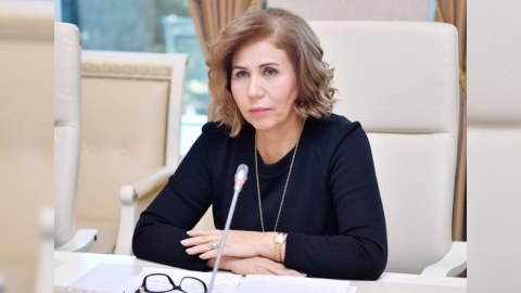 Bahar Muradova bu qanunun qəbuluna qarşı çıxan deputatları TƏNQİD ETDİ