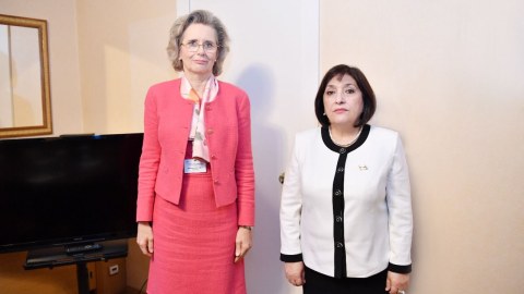 Sahibə Qafarova ATƏT PA-nın sədri ilə görüşdü - FOTO