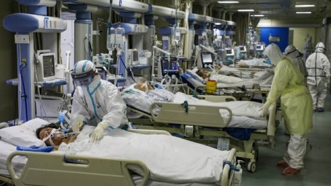 Koronavirusun ən təhlükəli ştamı: “AY.4.2” barədə nə bilirik?