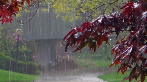 Hava kəskin dəyişəcək, temperatur 7 dərəcə enəcək - XƏBƏRDARLIQ