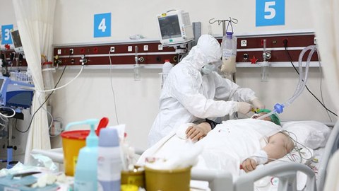 Gürcüstanın virus mənzərəsi