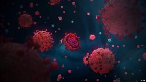 Dünyanın koronavirus MƏNZƏRƏSİ