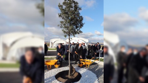 Prezidentlər Zəngilanda ağac əkdilər - FOTOLAR