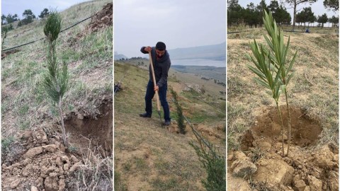 Tinglərlə bağlı xidmət yaradıldı