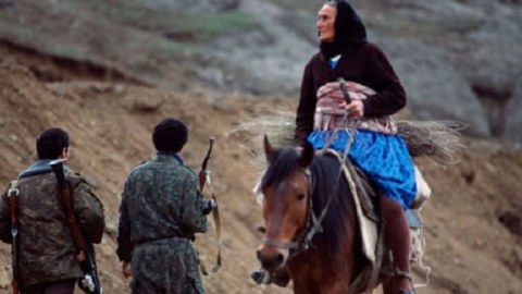 150-dən çox itkinin kimliyi MÜƏYYƏNLƏŞİB
