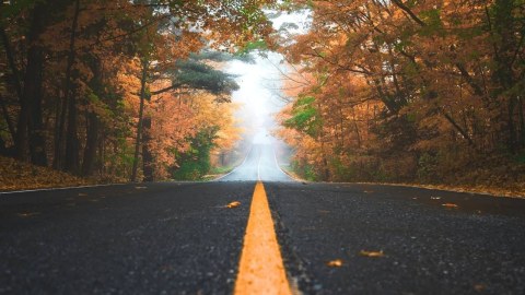 November, Kasım, Noyabr, Zəfər ayı