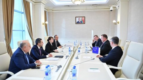 Estoniya parlamentarilərilə görüş