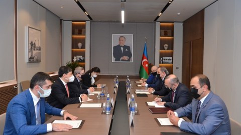 Nazir Braziliya Senatının üzvü ilə görüşdü