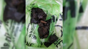 Narkotiki Kanadaya poçtla göndərmək istədilər - FOTO