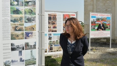 Fransa senatorunun BƏYANATI