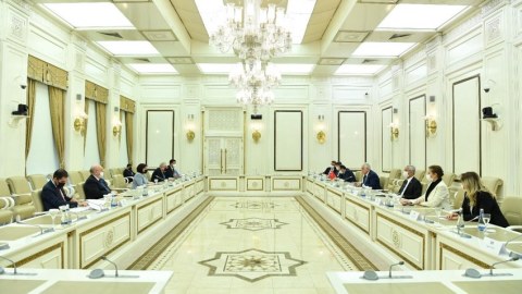 Sahibə Qafarova türkiyəli deputatlarla görüşdü