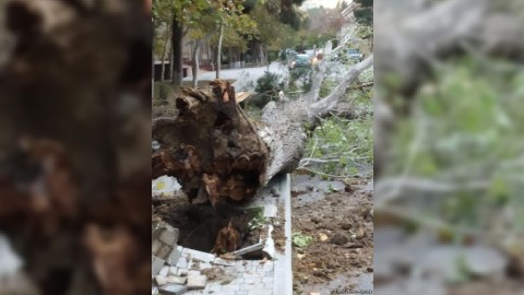 Bakıda külək yük maşınını aşırdı - FOTOLAR