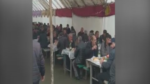 Karantini pozan toy sahibləri CƏRİMƏLƏNDİ