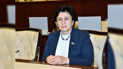 “Rayonların əksəriyyətində vətəndaşlar saxta əlillik alırdı”
